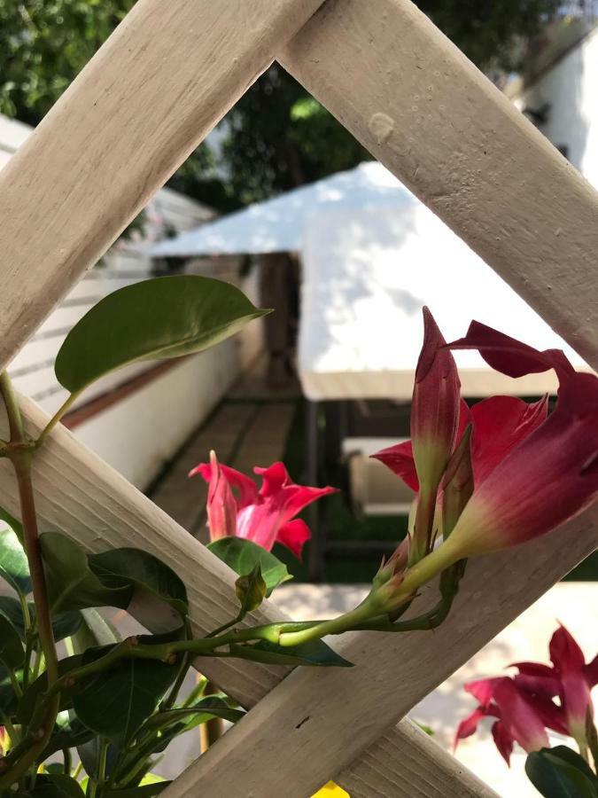 Virgilio'S Garden Bed & Breakfast Castellammare di Stabia Bagian luar foto